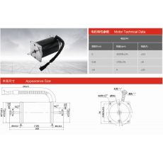 ZDB2e1012-00 汽車真空泵電機